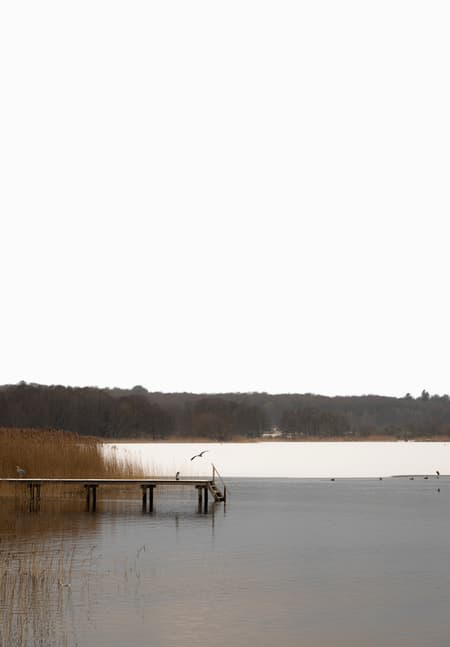 Lakeshore Barn House